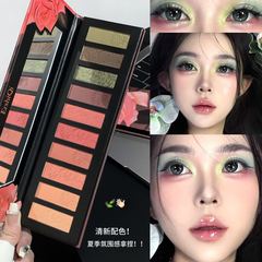 【跨境】10色双子星眼影珠光亚光大地色防水提亮眼影盘一体盘