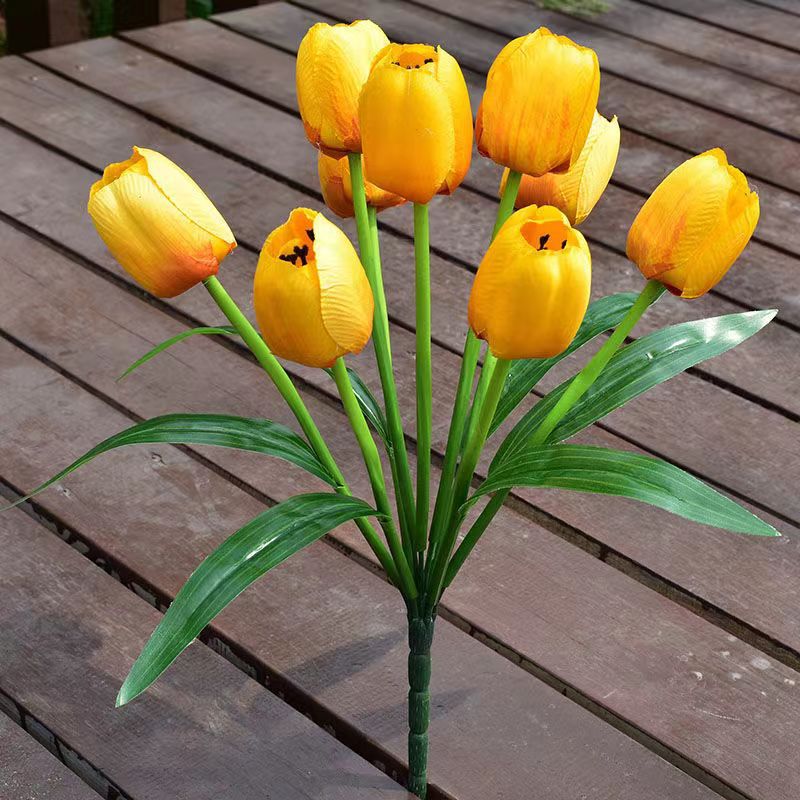 7头郁金香黄色