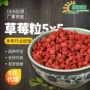源头固体冻干饮料草莓粒