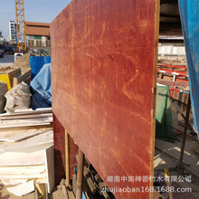 厂家销售工程模板2.440/1.220工地建筑模板木板不开胶起皮周转多