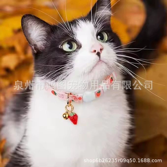 Трансграничный Amazon новый летний фруктовый узор кошачий ошейник удобный и дышащий модный свежий безопасный пряжка для домашних животных