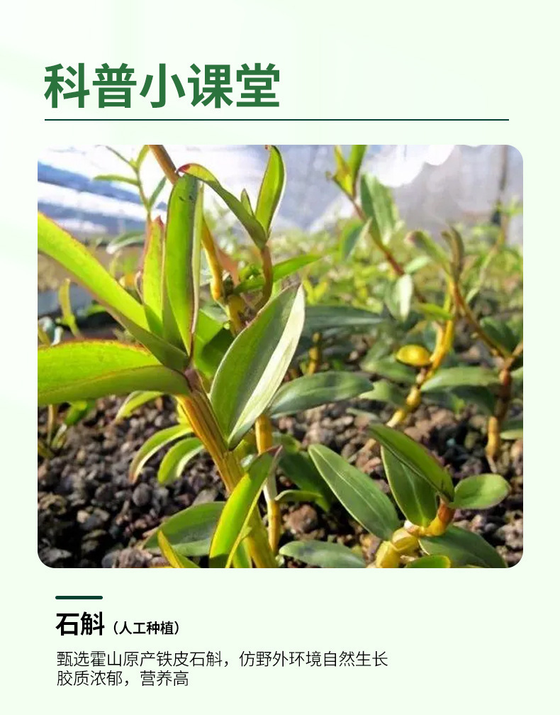 Huo Shan Tie Pi Shi Hu Original Juice Drink 150ml Box Ready to Drink Dendrobium Extract quality and texture