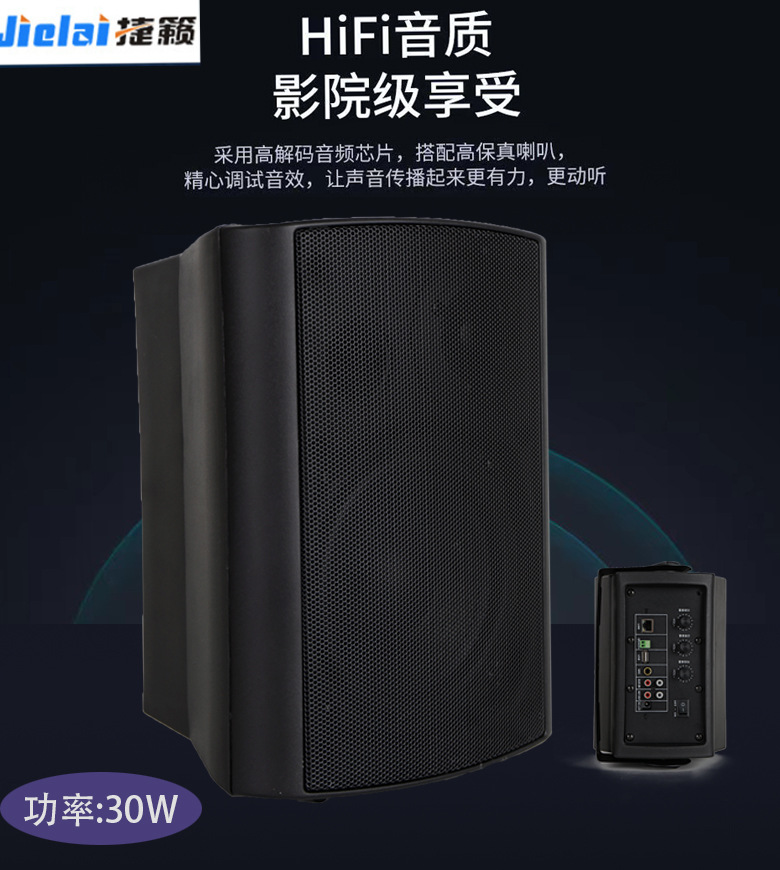 IP壁挂音箱多功能带高音IP有源校园网络广播背景音乐音响喇叭
