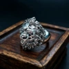 J025 lion head