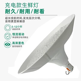 生鲜灯;投光灯;LED球泡灯