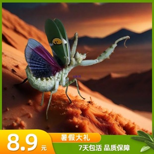 �۰������w�������x���x���`�����ٶY��A�ܻ�����ˌ���