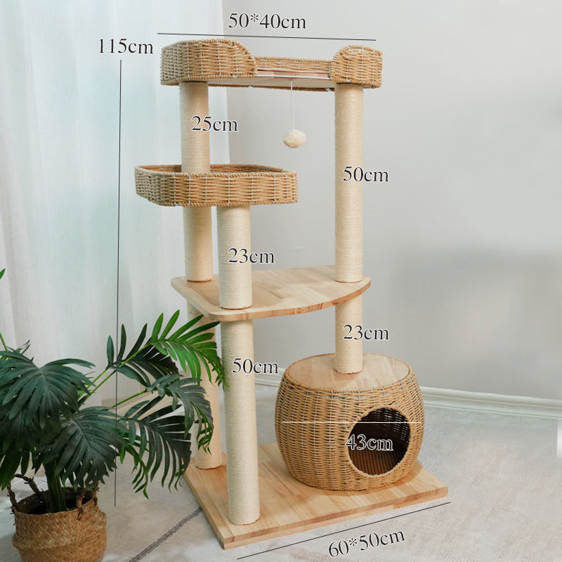 803 단단한 나무 모델