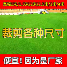 �����ƺ��̺�˹��ٲ�ƺ�̨�����׃��@�b��̇�����픾G��Ƥ�|