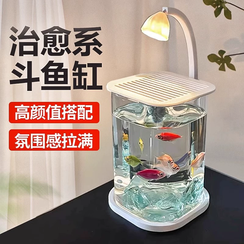 Креативный экологический аквариум Betta, подходящий для небольшого интернет-знаменитости, ландшафтный настольный декоративный ночник, декоративный стеклянный аквариум