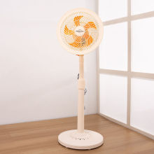 С����L�����ʽ������ʽ���L���W�������k���Ҳ���ȓu�^�Ȱ��]