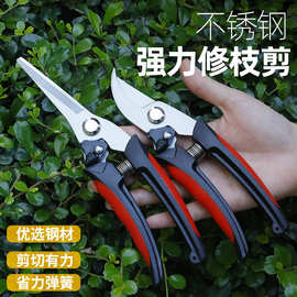 跨境不锈钢修枝剪刀强力园艺工具剪果园粗树枝摘果剪园林花园专用