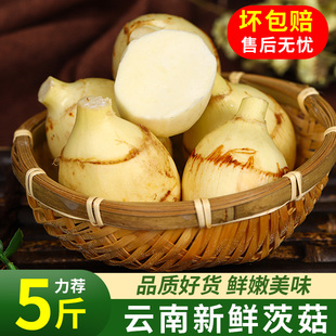 ������r�״ȹô��ԴĹ����R���r�ȹ�5���Ŵݩ�j���r�߲˰�