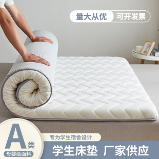 Thickened Mattress, Student Mattress, Mattress, Floor Covering Artifact, Dormitory Mattress, Rental Special School Wholesale