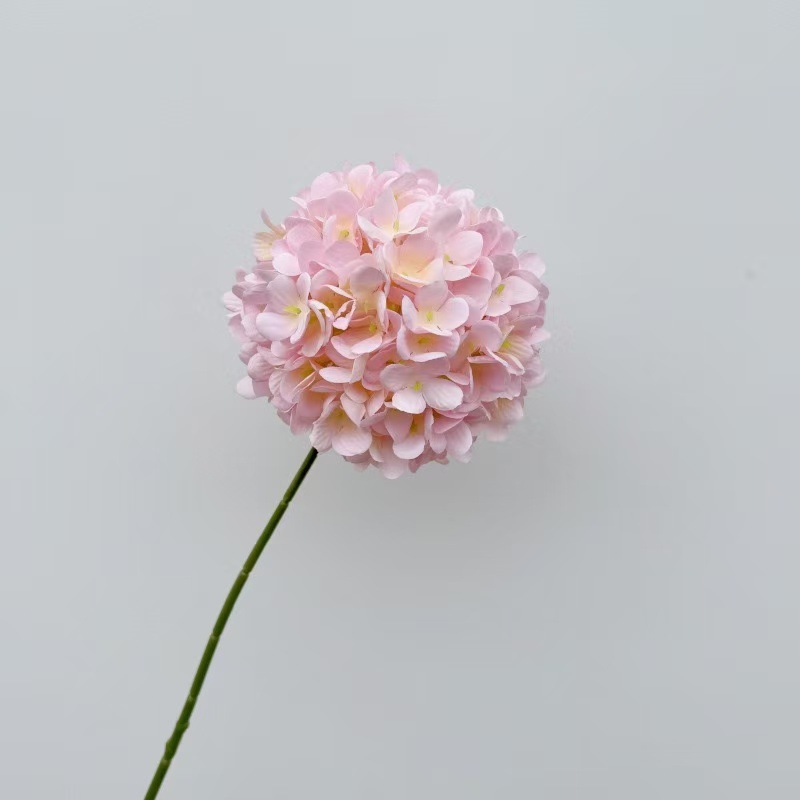 炫彩棒棒糖粉色