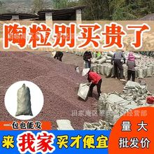 陶粒厂家批发 卫生间陶粒回填 轻质高强页岩粘土工程填充保温