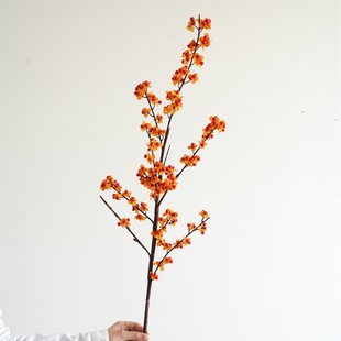 ���������ٴ�̖ ��ʽ����Ұ�� �b���л����Ĕz�������l�������Q