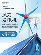 1000W家用小型风力发电机船舶路灯户外小车载12V24V带充电麦太保