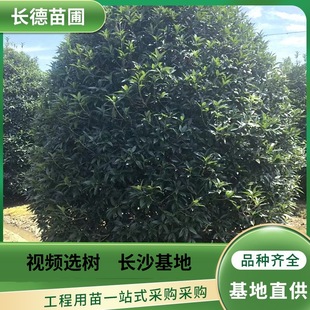 ���جF؛���l ������������ ������� ���G���������@�^�G��