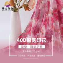 面料加工网眼布料40D涤氨印花网布40d情趣内衣上衣女装用料