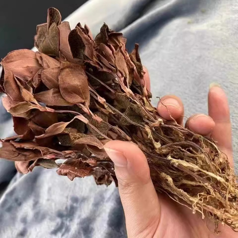 Anoectochilus ガーネット卸売福建省南京土楼林下植え乾燥品半斤 0.5kg ホテル直接承認シチューポット健康|undefined