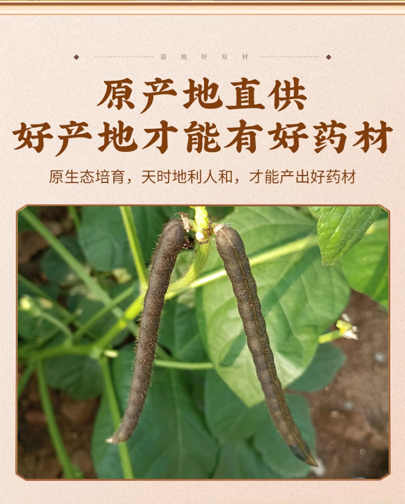 Mung Bean Lu Dou 500g Natural Sun Dried Whole Grains for Soup Congee and Summer Drinks key features