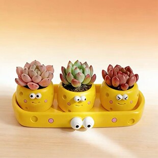 �W�t��ͨ���Ҷ��⻨�����b�k��������ɐ۱�������ϵ����Gֲ����