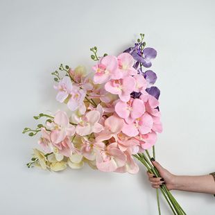 9�^ë�������m �������ҾӔ[����c�b��Ĕz���߻�ƿ�ٻ��Ҿ��b��