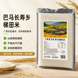大米