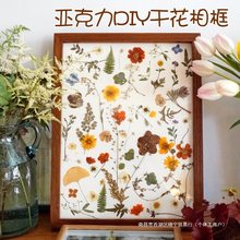 亚克力相框玻璃画框儿童手工diy干花展示框幼儿园手绘涂鸦透明框