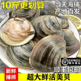 ʮ��� ���K�B노���ؐ�r��󂀺��r��������S͘�ӻ��򻨼�ؐ