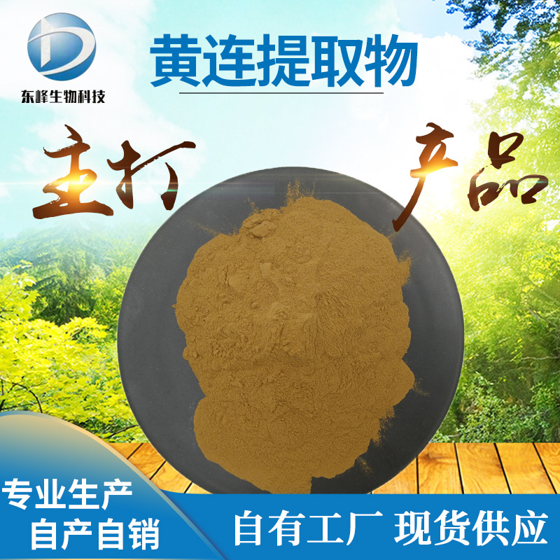 量大价优20:1黄连提取物 食品级水溶性黄连粉源头货源黄连提取物