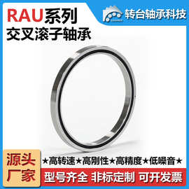 常州转台RAU系列超薄壁交叉滚子轴承 数控机床工业机器人滚珠轴承