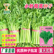 ���lС�~����N��������ѷN��U���~�����ѸߗU�ʵ۲��＾�߲�