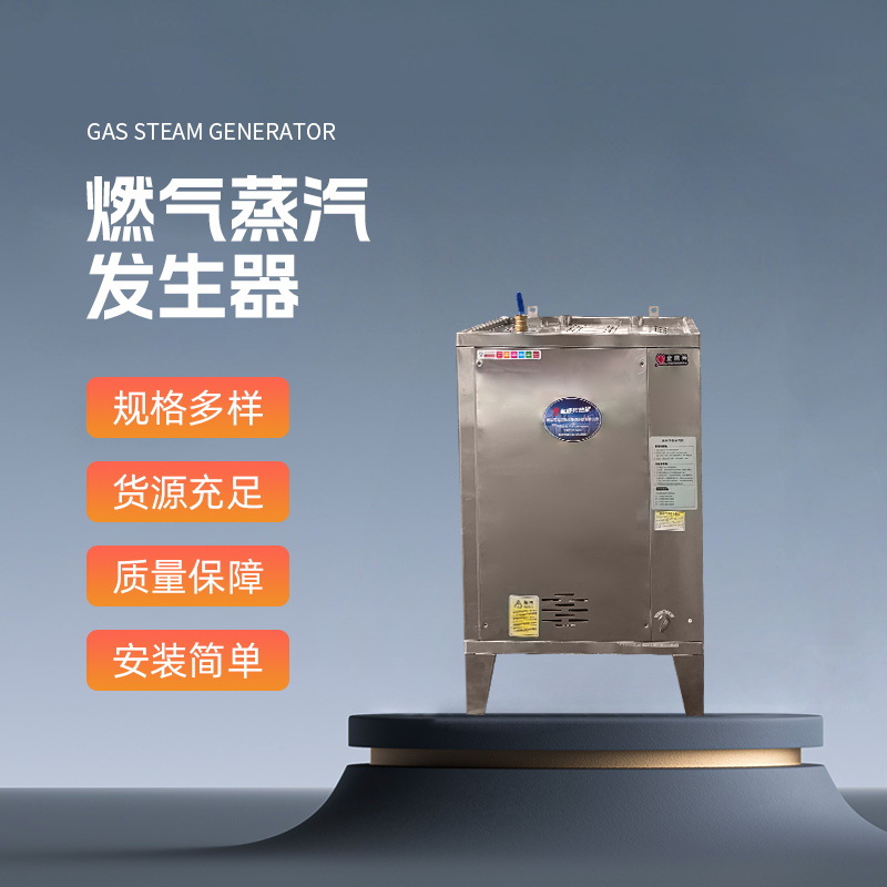 火排液化气蒸汽机 豆腐蒸汽发生器 电蒸汽机 液化气蒸汽锅炉