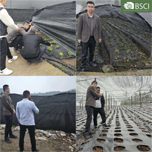 ���ݲ�����޽�����ֹ�s�����L���ݲ�������@��׷��ݲ���ˮ