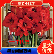 ��피tϞ�M����피tϞ���ذ���피tϞ��N��Y���҃��̨�Gֲ����