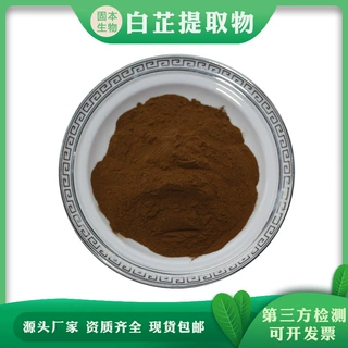 白芷提取物  白芷粉 水溶走马芹/白茝提取物 药食同源现货1KG包邮
