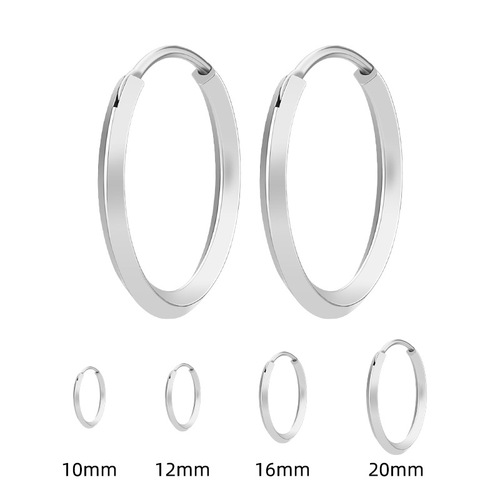 Japanese hot-selling Korean all-match plain hoop titanium steel earrings simple light luxury ins niche high-end personalized diamond earrings