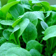 �uë�˲��Ѿ��xԭ�b�ļ��N�Ӵ�ȫ�Ϻ����ļ��̨���Գ����ͺ��͟�