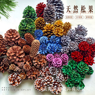 �羳�}�Q��Ȼ�ɹ������ɫ�yɫ��ɫ�ɹ��廨DIY�Ҿ��̈��b�