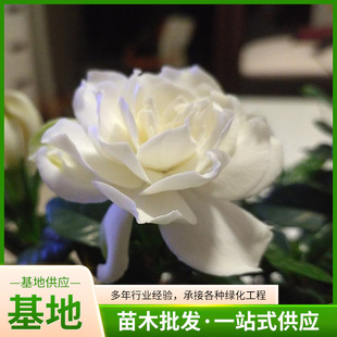 �d�ӻ������҃��������ԾGֲ������~�d�ӻ����U�d�ӻ����Bֲ��