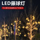 Waterproof Tree Hanging Courtyard Landscape Lights Project Lighting Lights String Indoor and Outdoor LED Lights Christmas Decoration Cane Ball Lights
