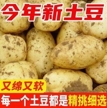 ���r���������F�����r�S�����������^�����߲������R����������l