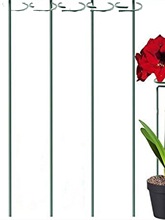 植物支撑杆朱顶红绣球蝴蝶兰固定架爬藤花卉防倒伏包塑铁艺花架