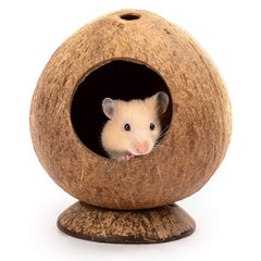 Hamster Coconut House Supplies and Accessories Exclusive for Cross-border Sales