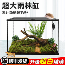 BG�����쾰������B��޽��،m���挙���߽���֩��䗫������