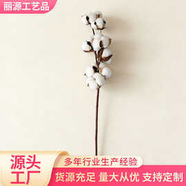 棉花仿真花家居摆件仿真棉花干花假花装饰场景用棉花花束