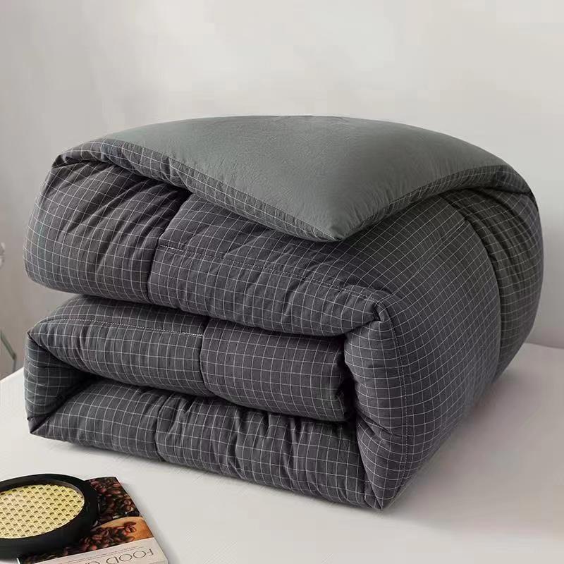 Skin-Friendly Washed Cotton Quilt Thickened Warm Winter Quilt Double Quilt Core Winter Student Dormitory Single Spring and Autumn Quilt Wholesale