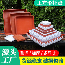 �����бP�S�����l�����ν�ˮ�P���܈@ˇ��©ˮ��|�����������