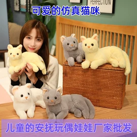 毛绒玩具;公仔挂件;吉祥物公仔